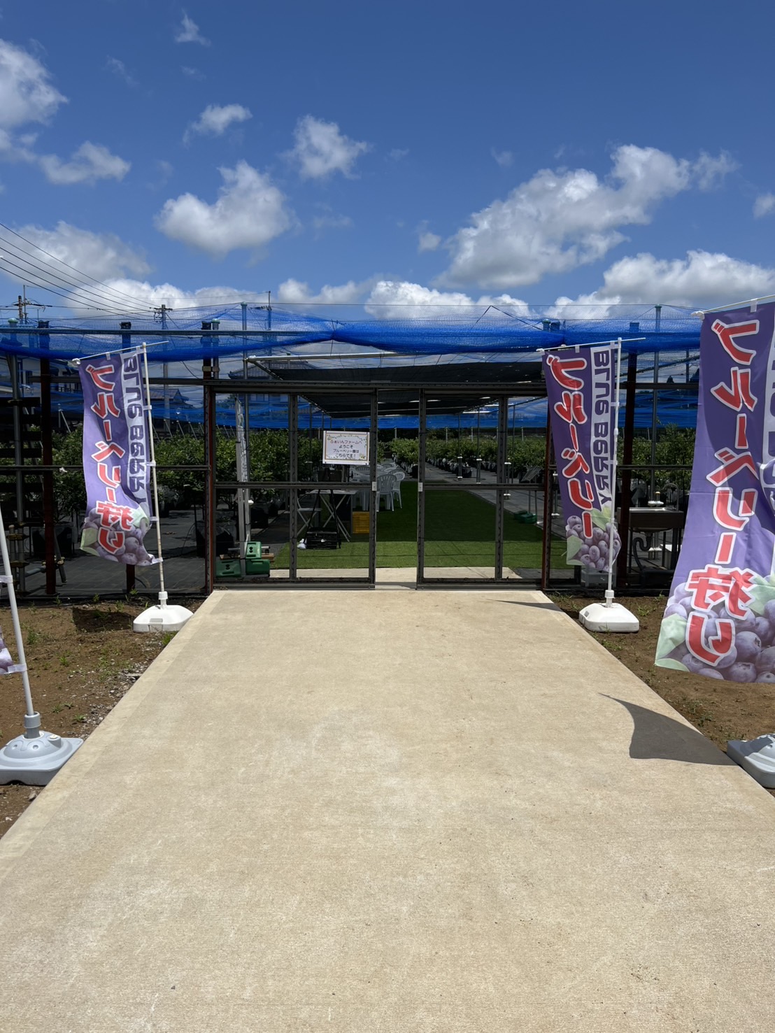 ブルーベリー園入口